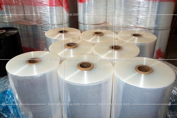 In màng ghép dạng cuộn, màng in dạng cuộn